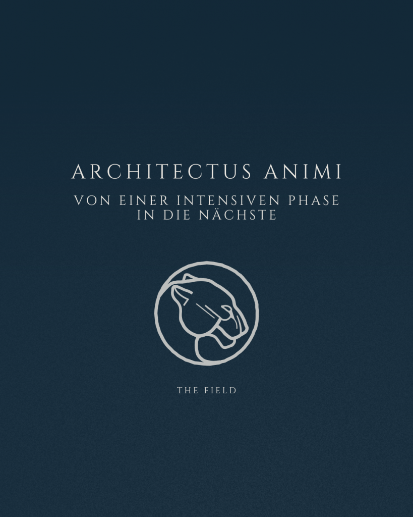 Beitragsbild zur Podcastfolge 9 Architectus Animi: Von einer intensiven Phase in die nächste