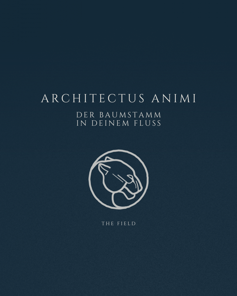 Beitragsbild zur Podcastfolge 14 Architectus Animi: Der Baumstamm in deinem Fluss