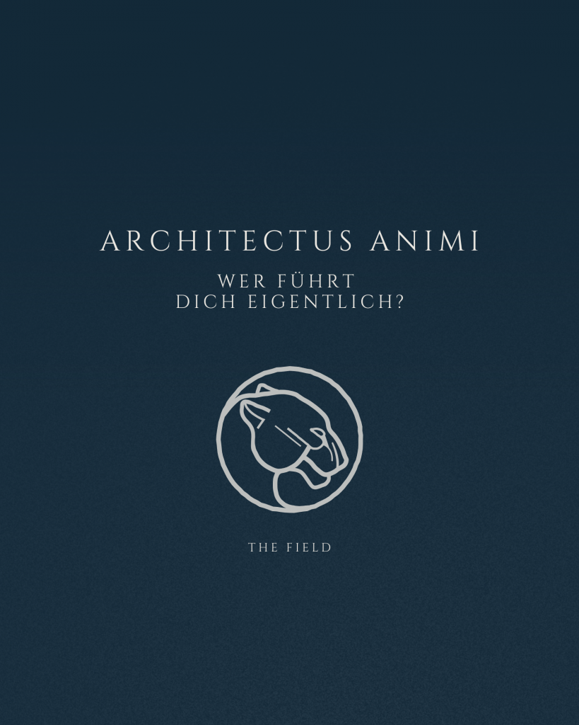 Beitragsbild zur Podcastfolge 16 Architectus Animi: Wer führt dich eigentlich?